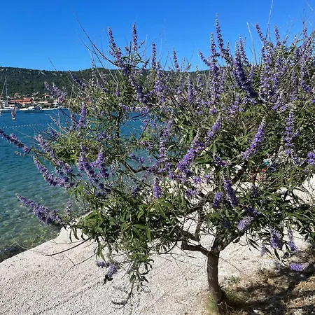 Apartment M&k Vinišće